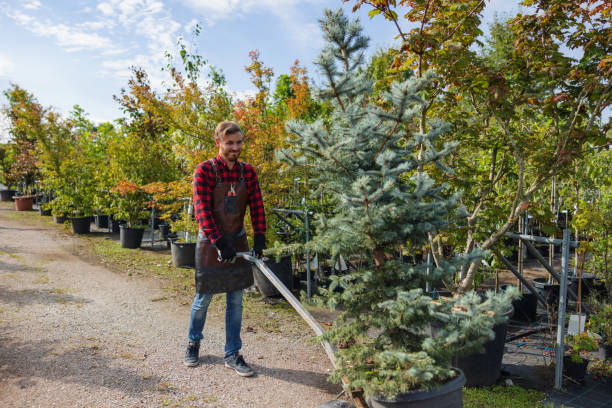 Best Leaf Removal  in Eufaula, AL